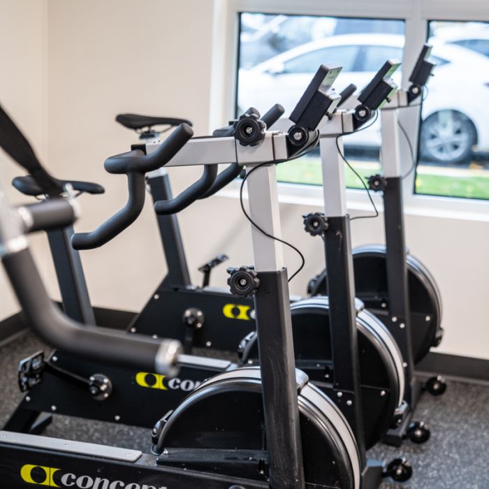 Concept2 Bikeerg - Gorila Fitness 