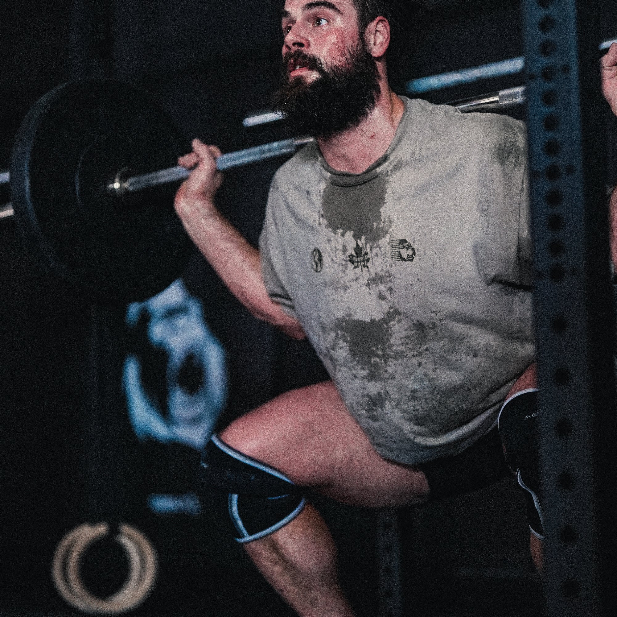 Tested For Animals - Heavy Tee by Gorila Fitness, premium t-shirt for strength training